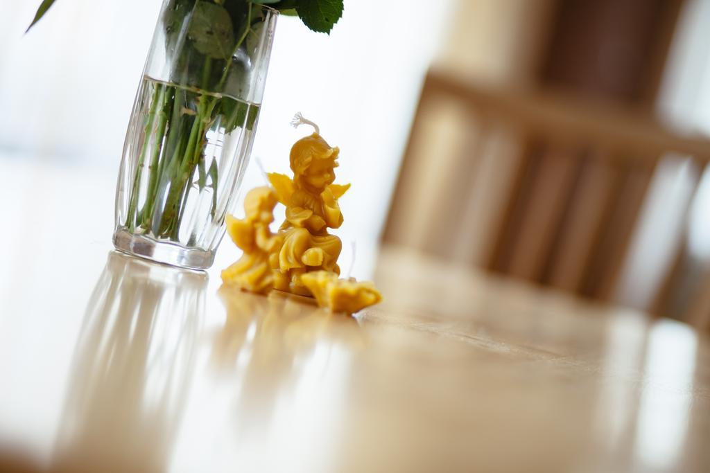 Medainie Apartamenti リエパーヤ エクステリア 写真