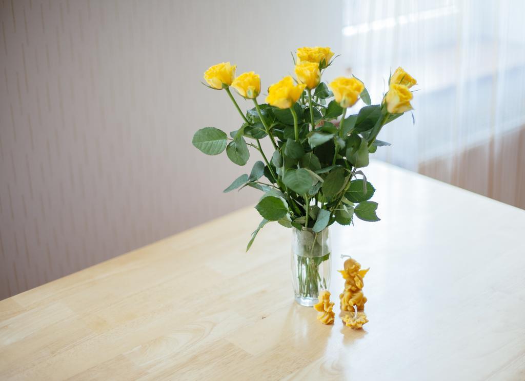 Medainie Apartamenti リエパーヤ エクステリア 写真